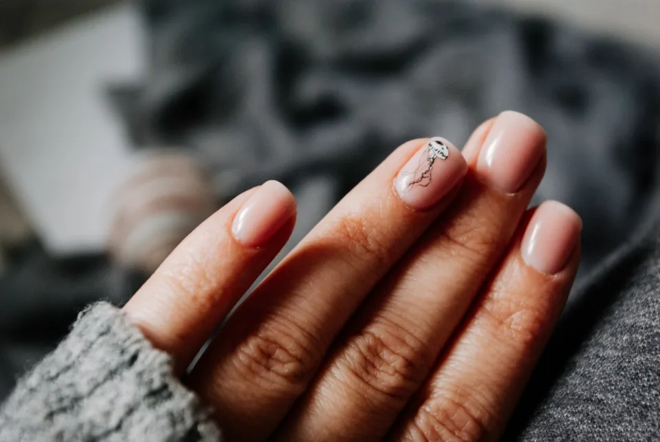 Hình ảnh tại Trần Thị Qua 3